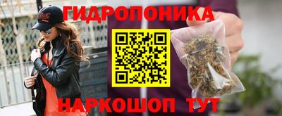 бошки Сланцы